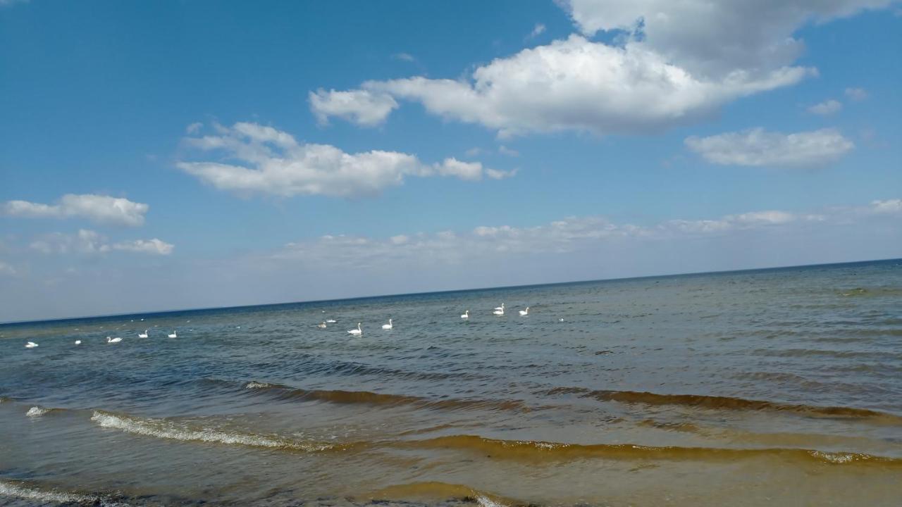 House, Garden & Sauna. Free Parking. Train Stop-200 M. Sea-1 Km. Jūrkalne 외부 사진