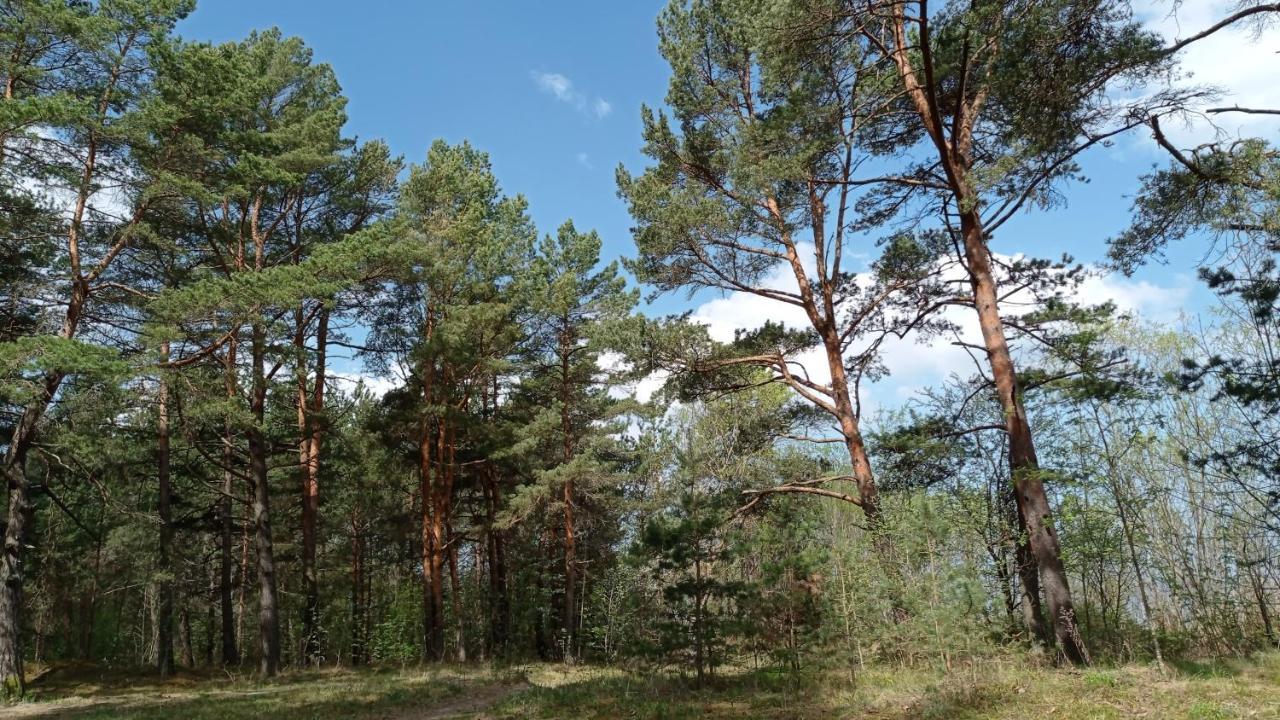 House, Garden & Sauna. Free Parking. Train Stop-200 M. Sea-1 Km. Jūrkalne 외부 사진